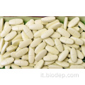 Effetti sani del supplemento di probiotici compresse bifidobacterium longum